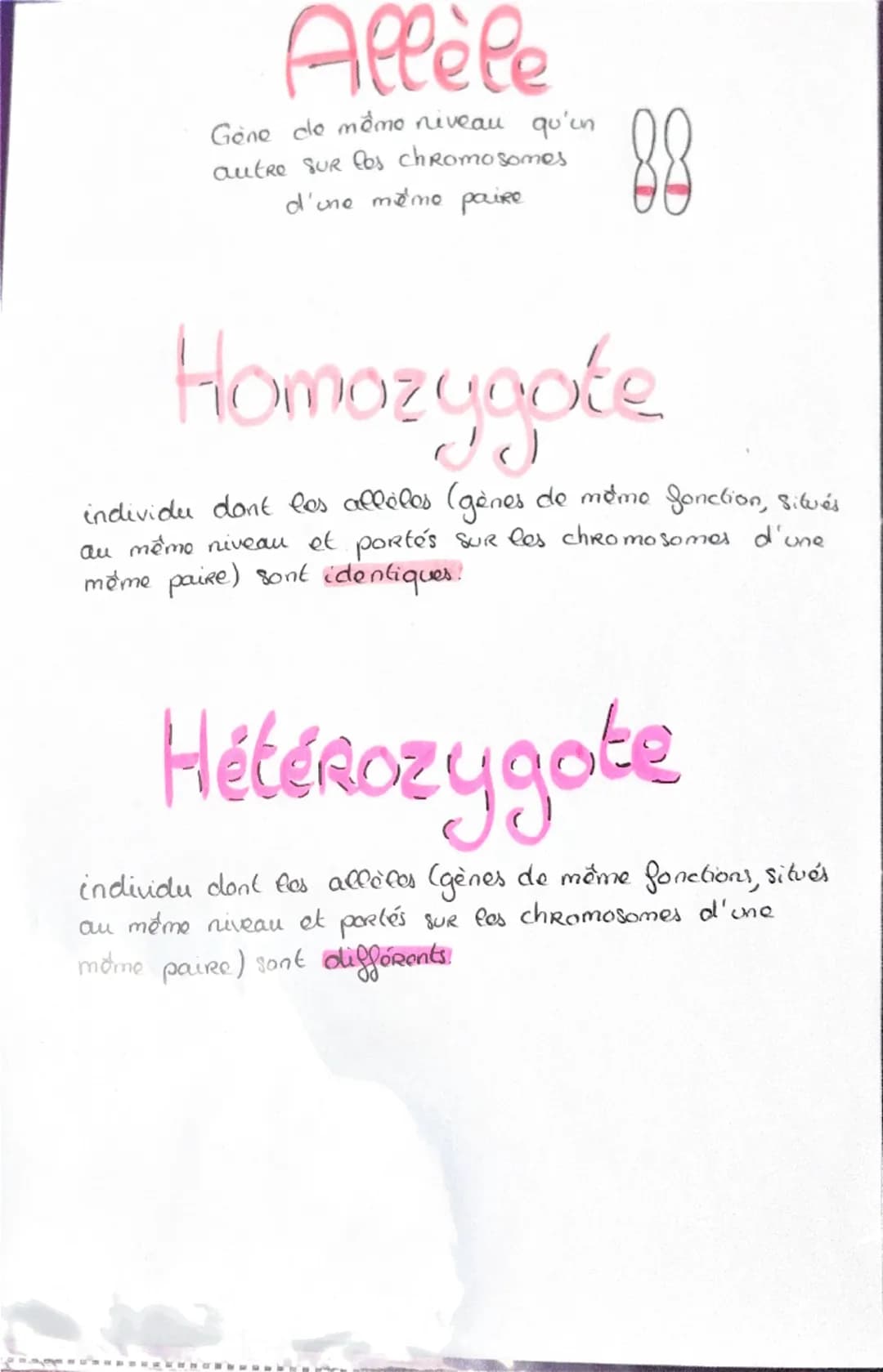 Haploide
(n)
a a qu'une qu seule fois
chaque type de
Chromosomes dans
Son noyau (pas
d'homologue)
VS
Diploide
(2n)
Lo fusion do 2 & hapl