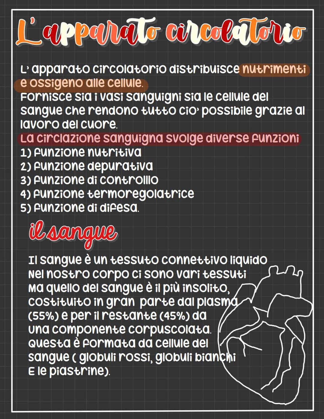 # L'apparato circolatorio
L' apparato circolatorio distribuisce nutrimenti
e ossigeno alle cellule.
Fornisce sia i vasi sanguigni sia le ce