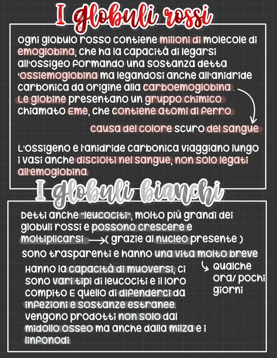 # L'apparato circolatorio
L' apparato circolatorio distribuisce nutrimenti
e ossigeno alle cellule.
Fornisce sia i vasi sanguigni sia le ce