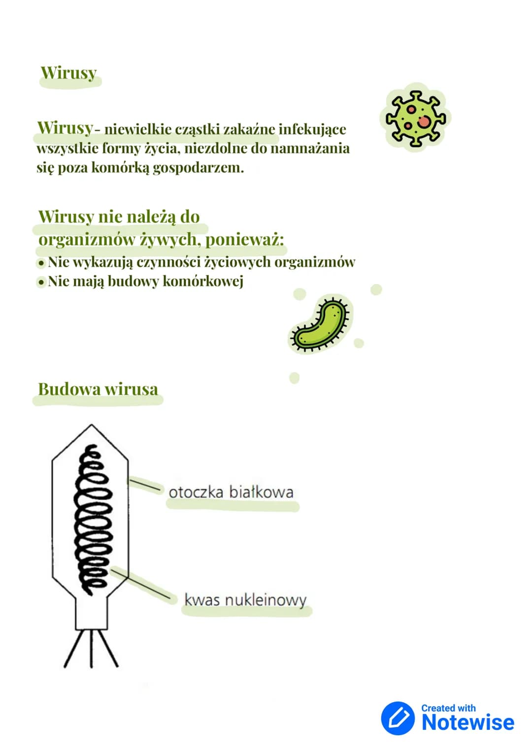 # Wirusy, bakterie, protisty i grzyby
dział III - klasa 5
Królestwa
organizmów:
- Bakterie
- Zwierzęta
- Grzyby
- Rośliny
- Protisty
Gatu