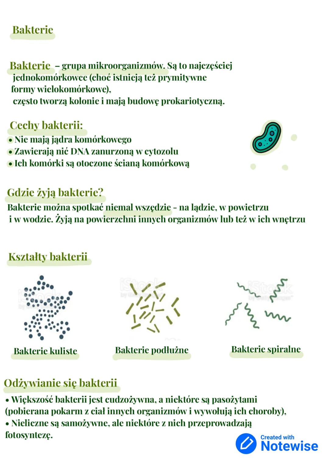 # Wirusy, bakterie, protisty i grzyby
dział III - klasa 5
Królestwa
organizmów:
- Bakterie
- Zwierzęta
- Grzyby
- Rośliny
- Protisty
Gatu