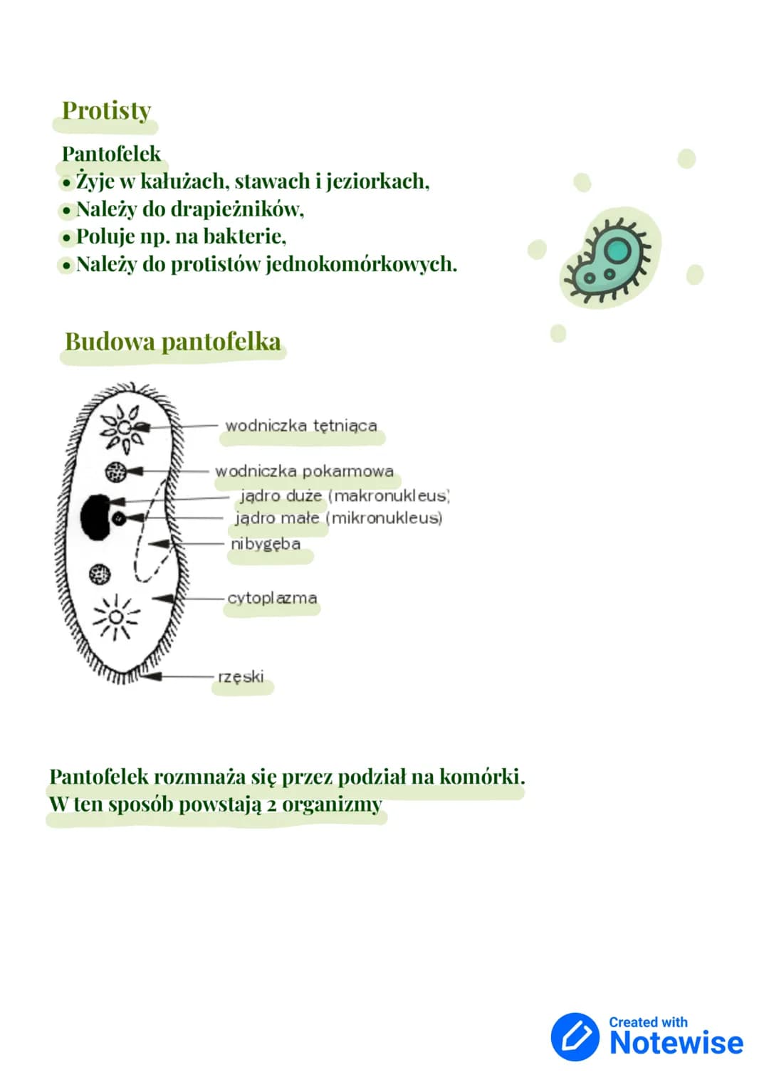 # Wirusy, bakterie, protisty i grzyby
dział III - klasa 5
Królestwa
organizmów:
- Bakterie
- Zwierzęta
- Grzyby
- Rośliny
- Protisty
Gatu