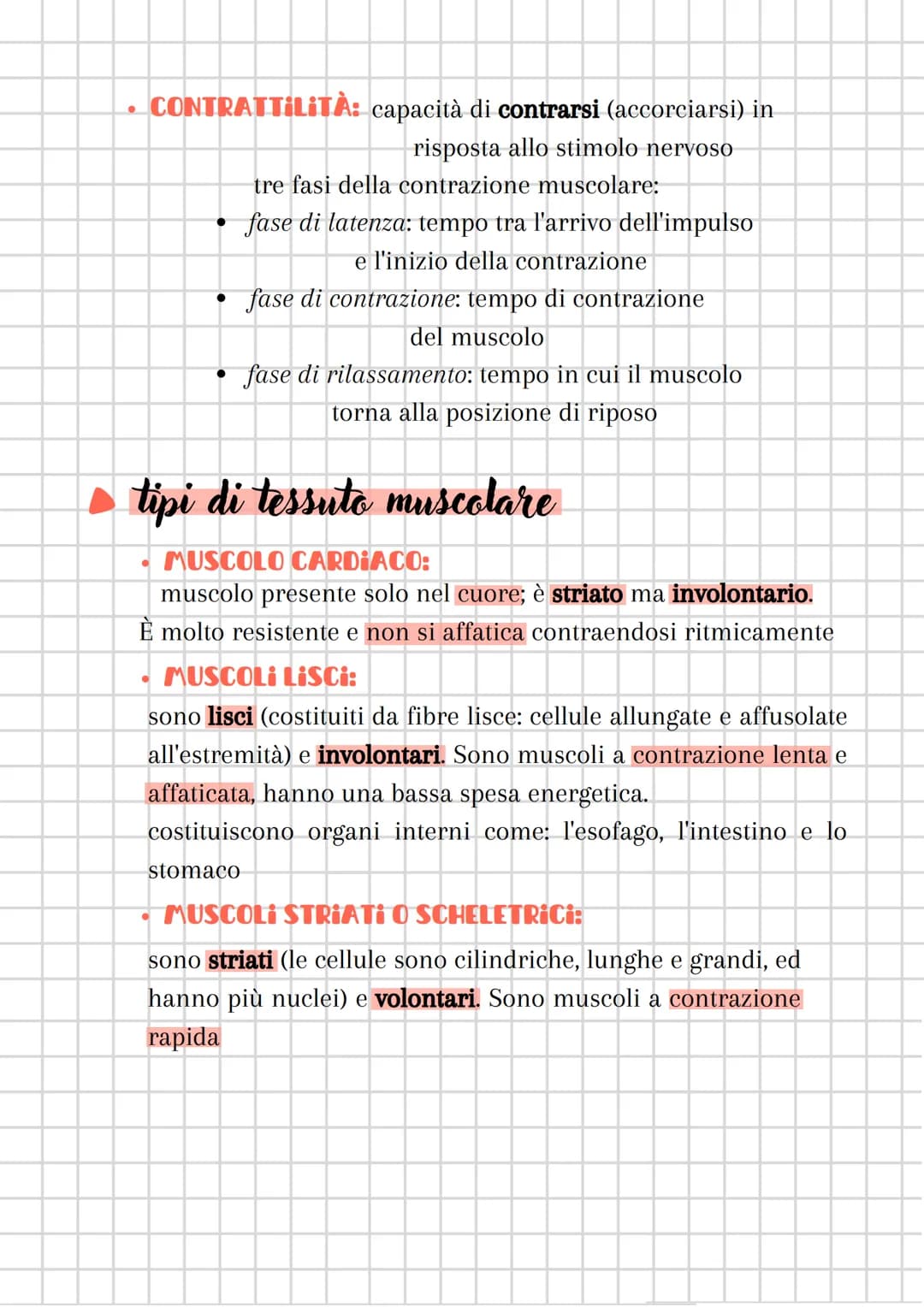 # il sistema muscolare
è costituito dall'insieme dei MUSCOLI
sistema muscolare + sistema nervoso
=
componente attiva dell'apparato locomot