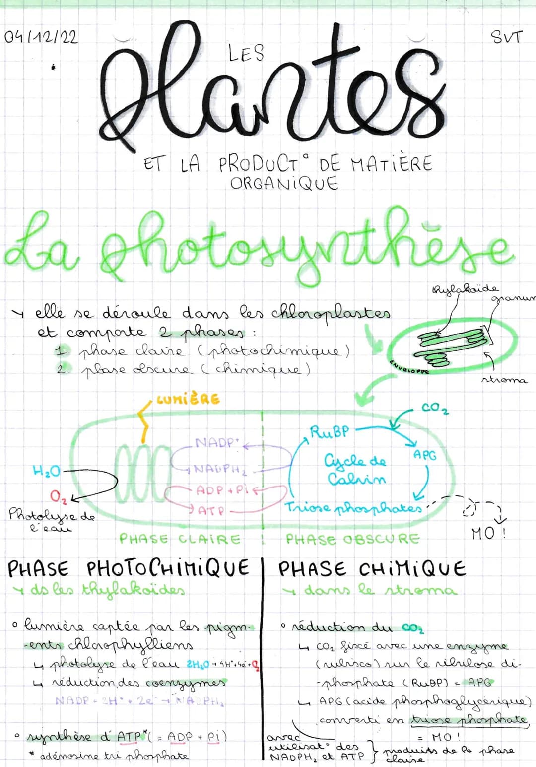 04/12/22
LES
# Plantes
ET LA PRODUCT DE MATIÈRE
ORGANIQUE
SVT
# La photosynthèse
Y elle se déroule dans les chloroplastes
et comporte 2 ph