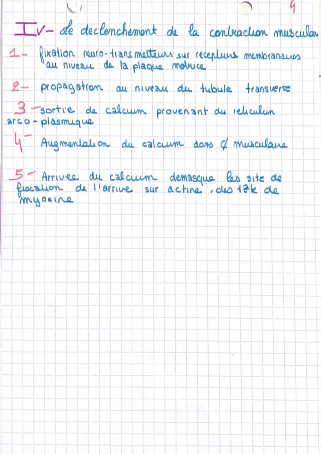 # Chapitre 1
I- L'organisation generale d'un muscle
muscle-organe constitué de cellules regroupé
en faisceausc
Sceuse la sont entouré d'1