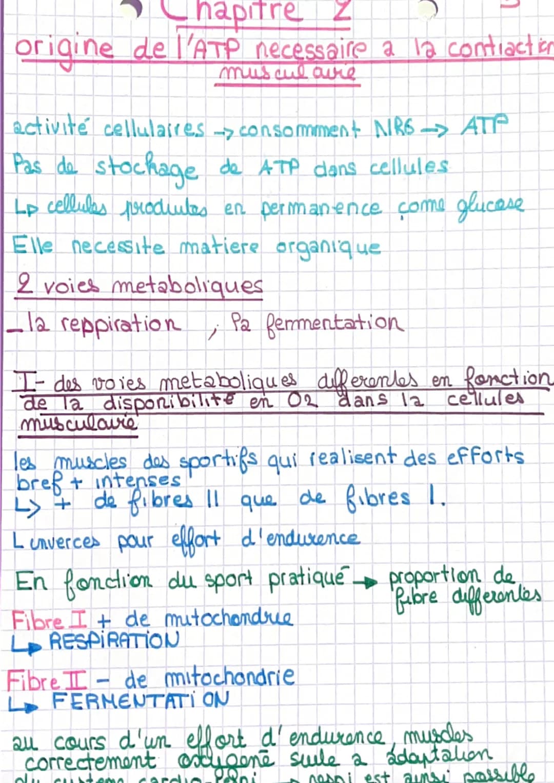 # Chapitre 1
I- L'organisation generale d'un muscle
muscle-organe constitué de cellules regroupé
en faisceausc
Sceuse la sont entouré d'1