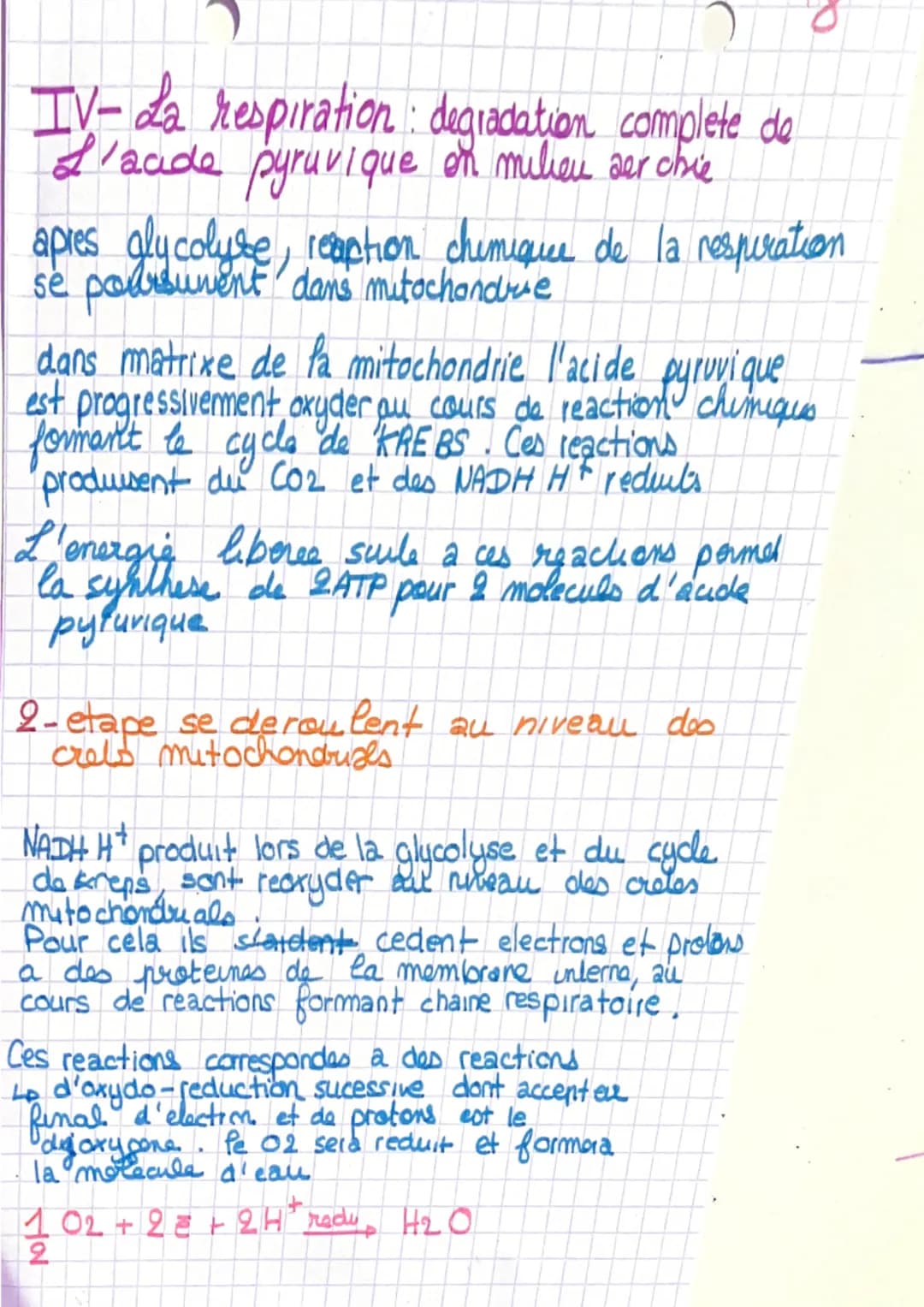 # Chapitre 1
I- L'organisation generale d'un muscle
muscle-organe constitué de cellules regroupé
en faisceausc
Sceuse la sont entouré d'1