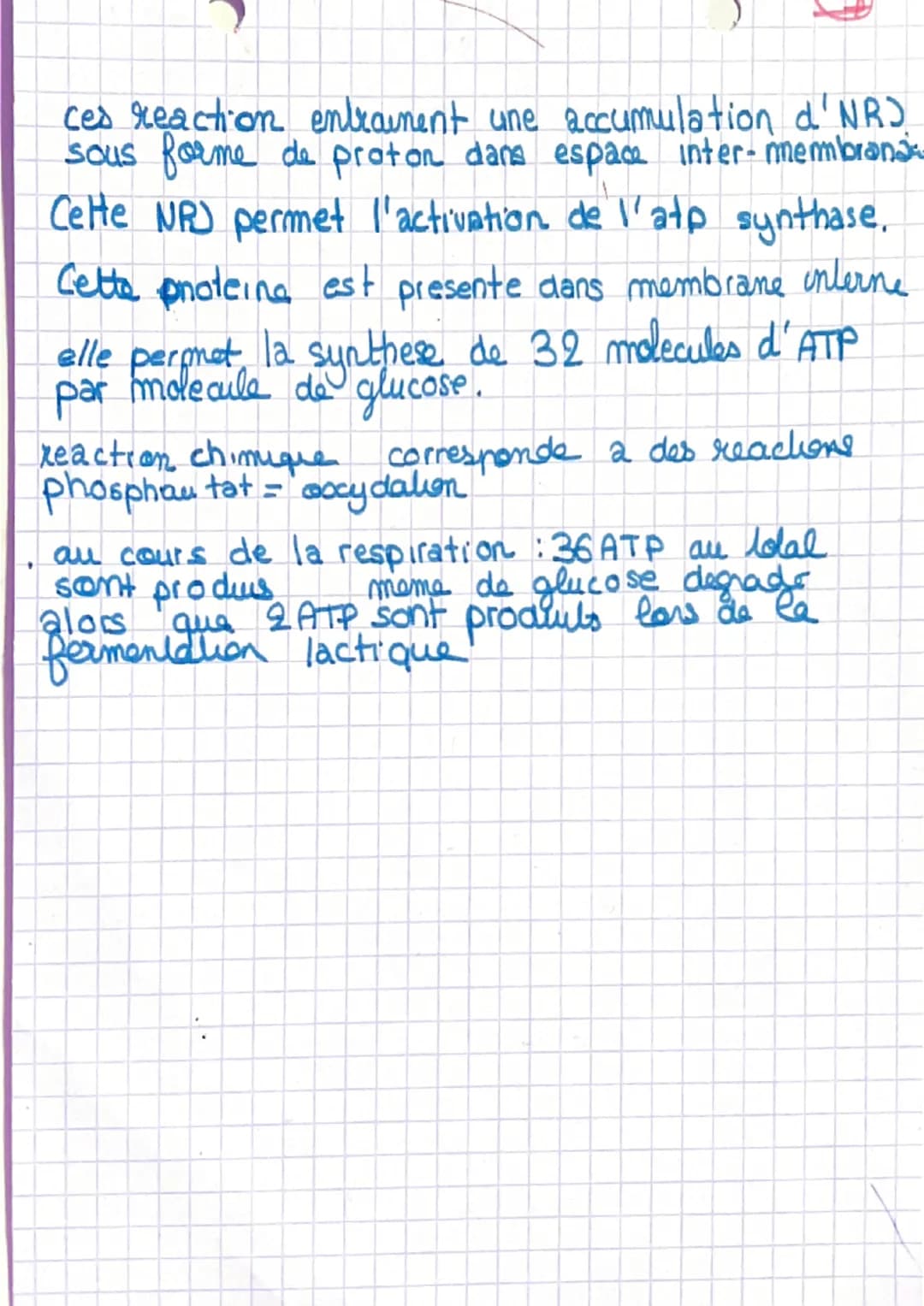 # Chapitre 1
I- L'organisation generale d'un muscle
muscle-organe constitué de cellules regroupé
en faisceausc
Sceuse la sont entouré d'1