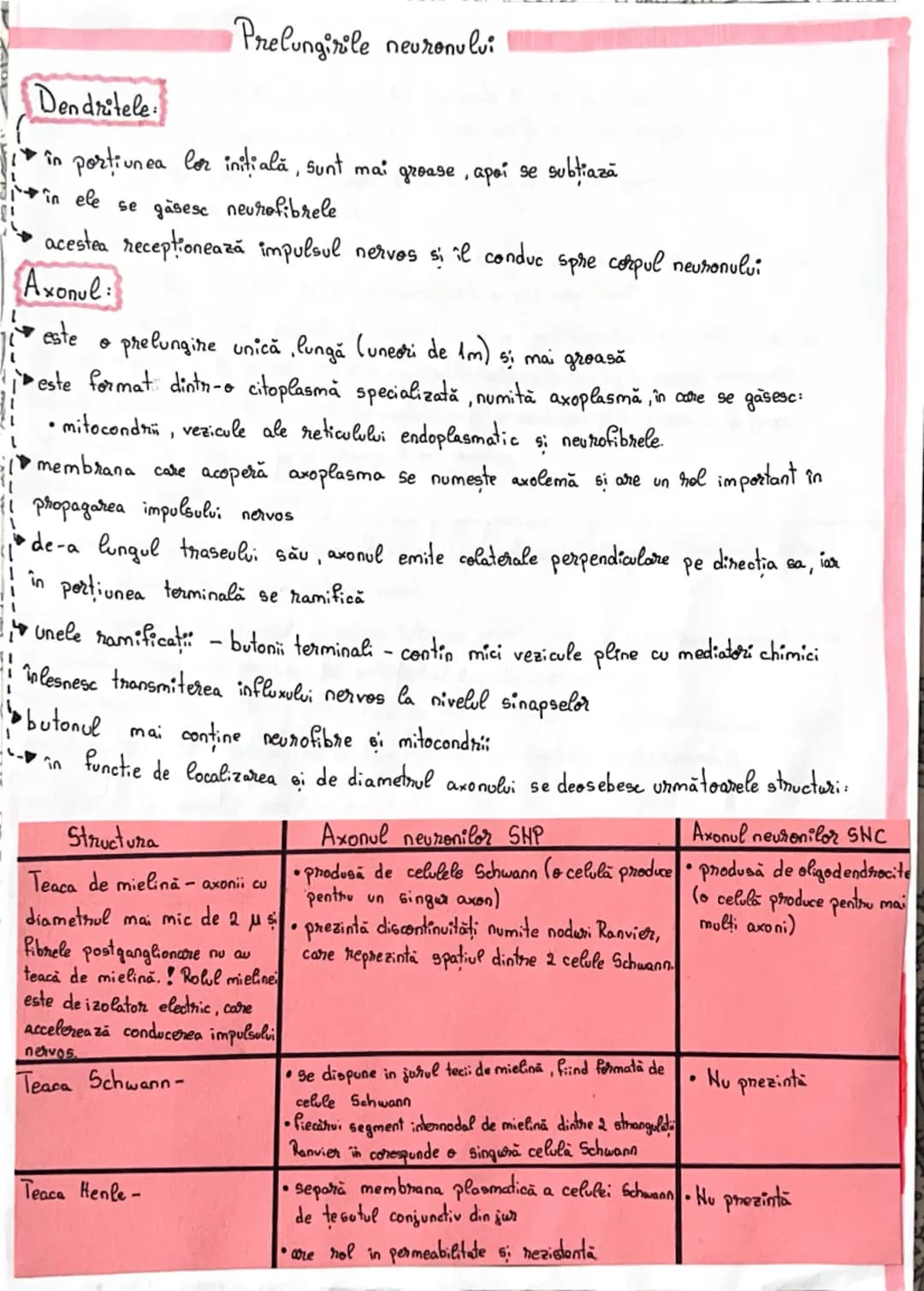 # Fiziologia neuronului
• Neuronul reprezintă unitatea morfo-functională a sistemului nervos
•Forma neuronilor este variabilă:
→stelata c