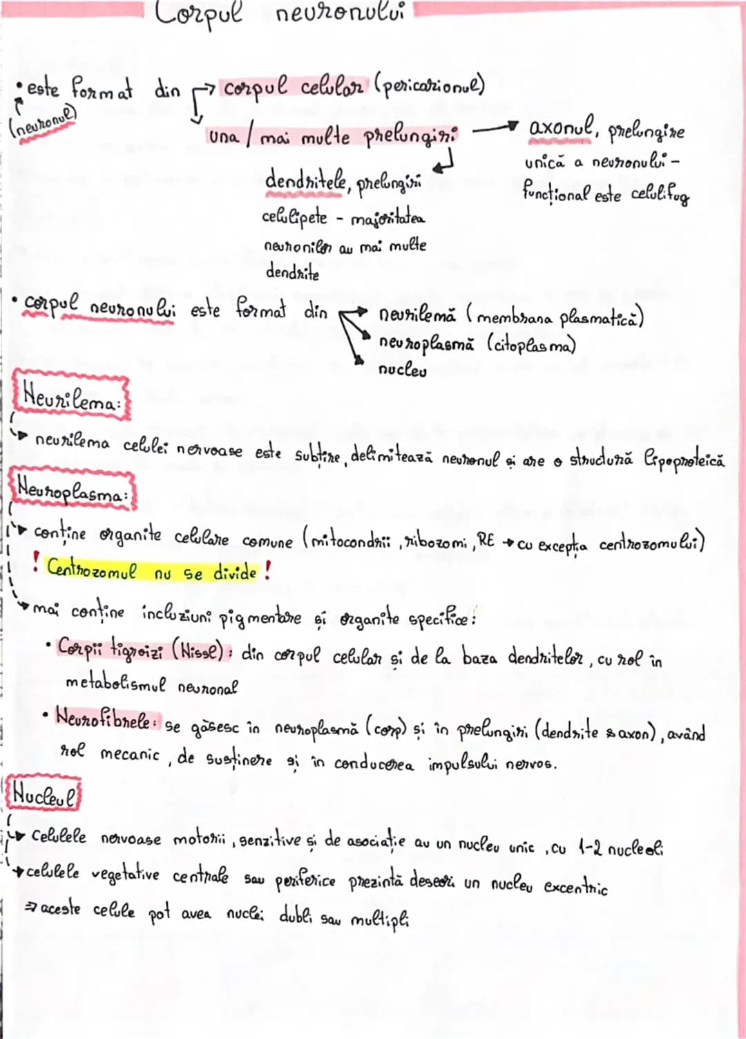 # Fiziologia neuronului
• Neuronul reprezintă unitatea morfo-functională a sistemului nervos
•Forma neuronilor este variabilă:
→stelata c