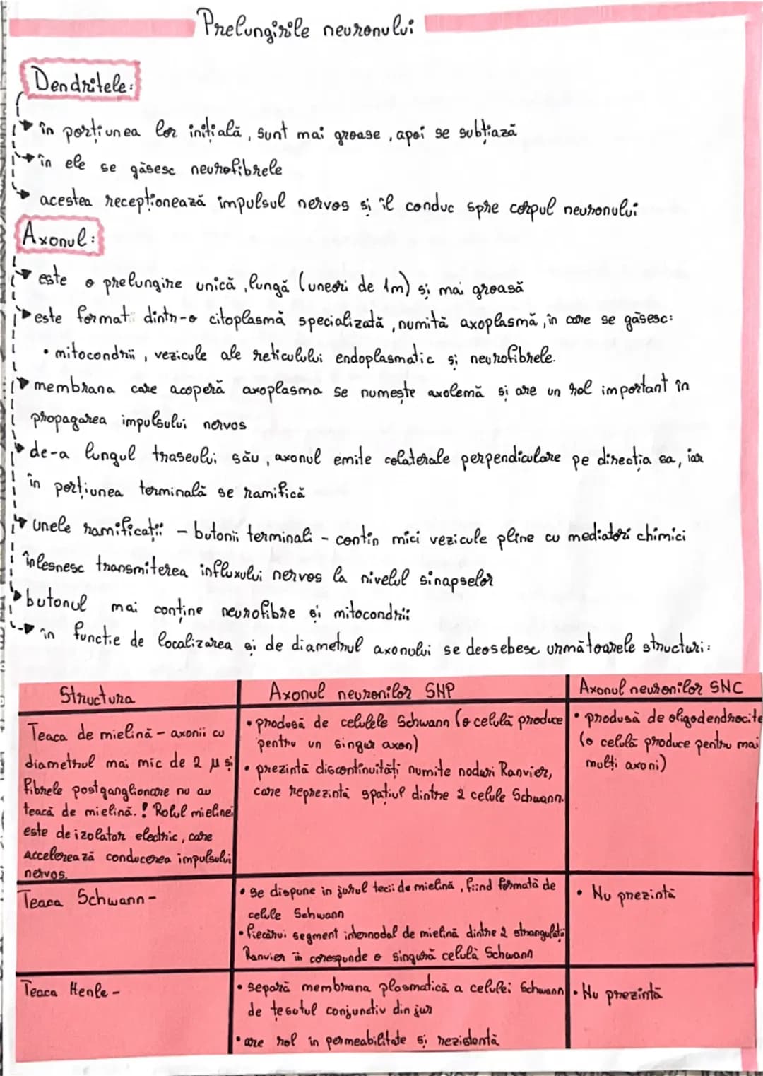 # Fiziologia neuronului
• Neuronul reprezintă unitatea morfo-functională a sistemului nervos
•Forma neuronilor este variabilă:
→stelata c