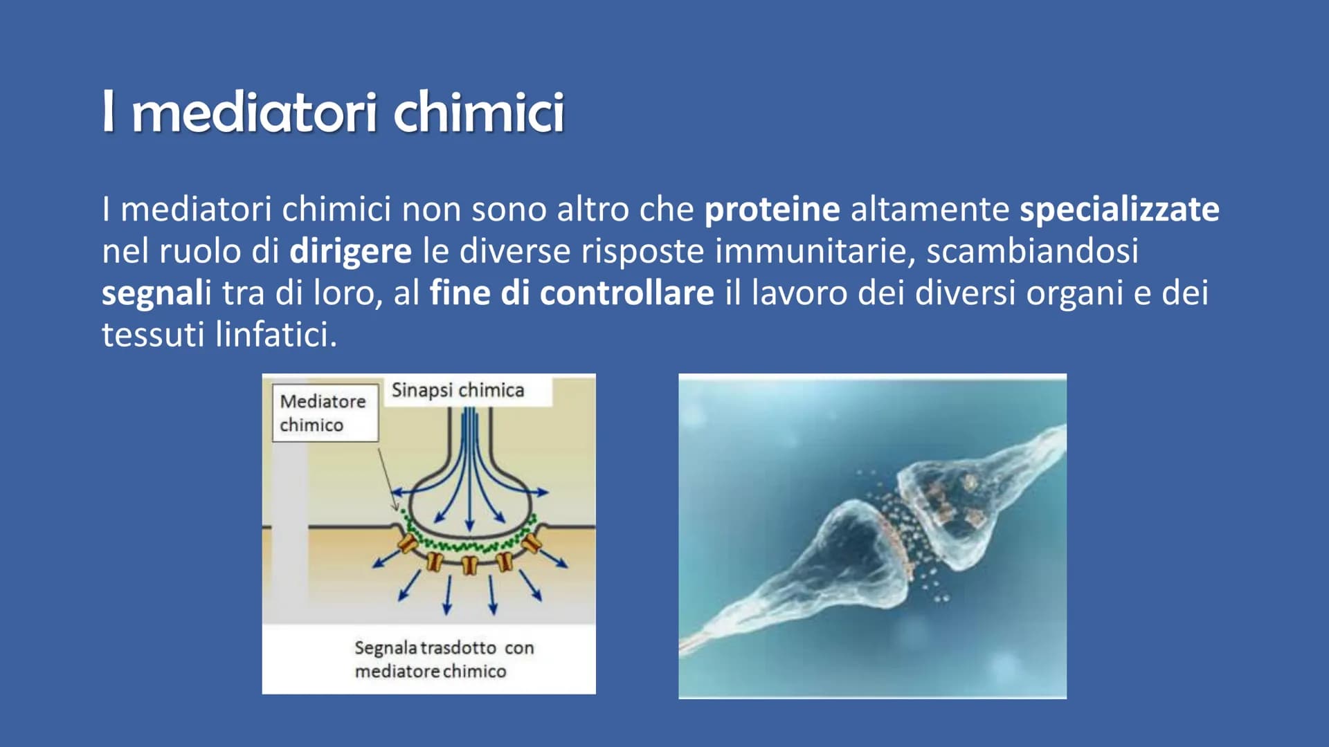 Ricerca di scienze di Ronzoni Asia classe 3^A
IL SISTEMA
IMMUNITARIO
DEL CORPO UMANO # Cosa è il sistema immunitario del corpo umano?
Il s