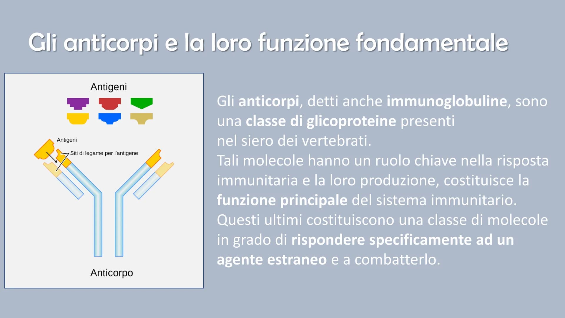Ricerca di scienze di Ronzoni Asia classe 3^A
IL SISTEMA
IMMUNITARIO
DEL CORPO UMANO # Cosa è il sistema immunitario del corpo umano?
Il s