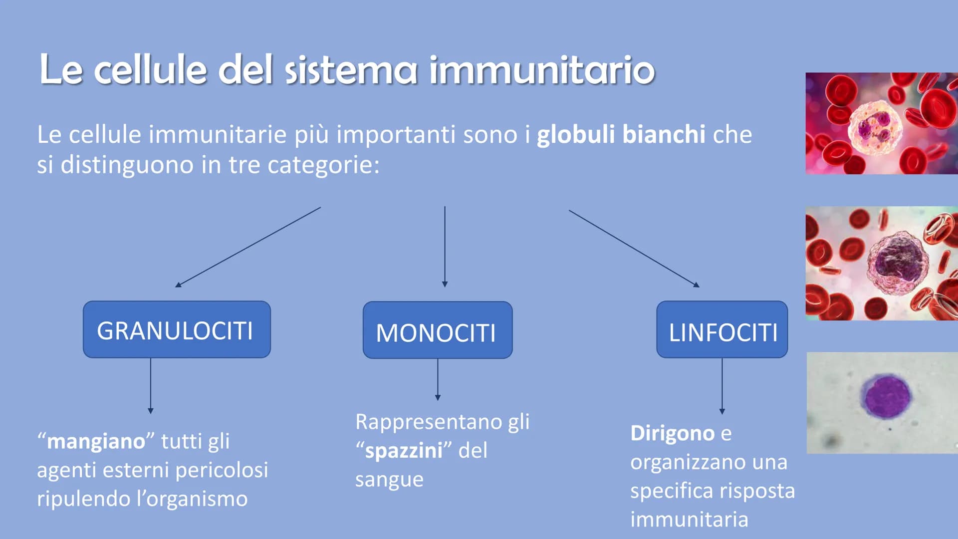 Ricerca di scienze di Ronzoni Asia classe 3^A
IL SISTEMA
IMMUNITARIO
DEL CORPO UMANO # Cosa è il sistema immunitario del corpo umano?
Il s