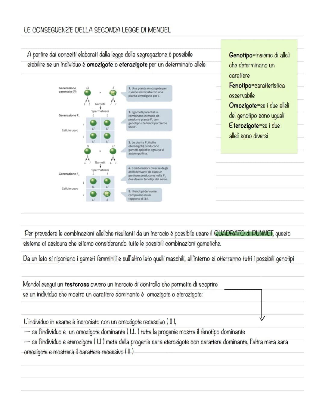 # GREGOR MENDEL E LA GENETICA
La genetica è lo studio delle leggi e dei
meccanismi che permettono la trasmissione
dei caratteri da una gene