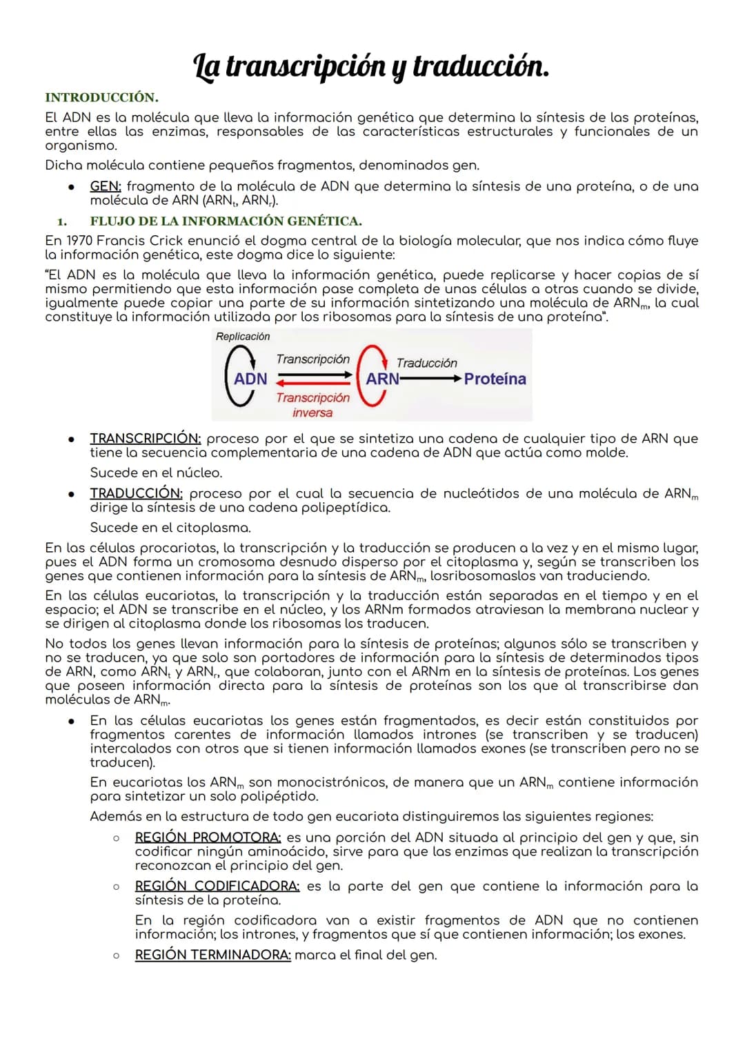 # La transcripción y traducción.
INTRODUCCIÓN.
El ADN es la molécula que lleva la información genética que determina la síntesis de las pro