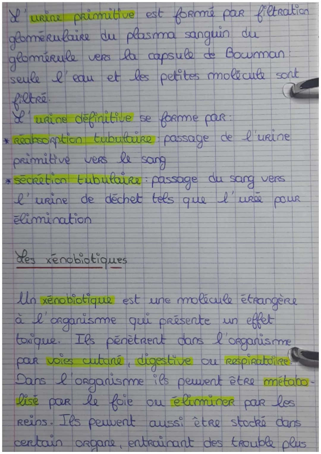 Chapitre 1. Le milieu intérieur et sa régulat
Ton
Millien intérieur et compartiment liquidien
L'eau représente 60% de la masse corporelle