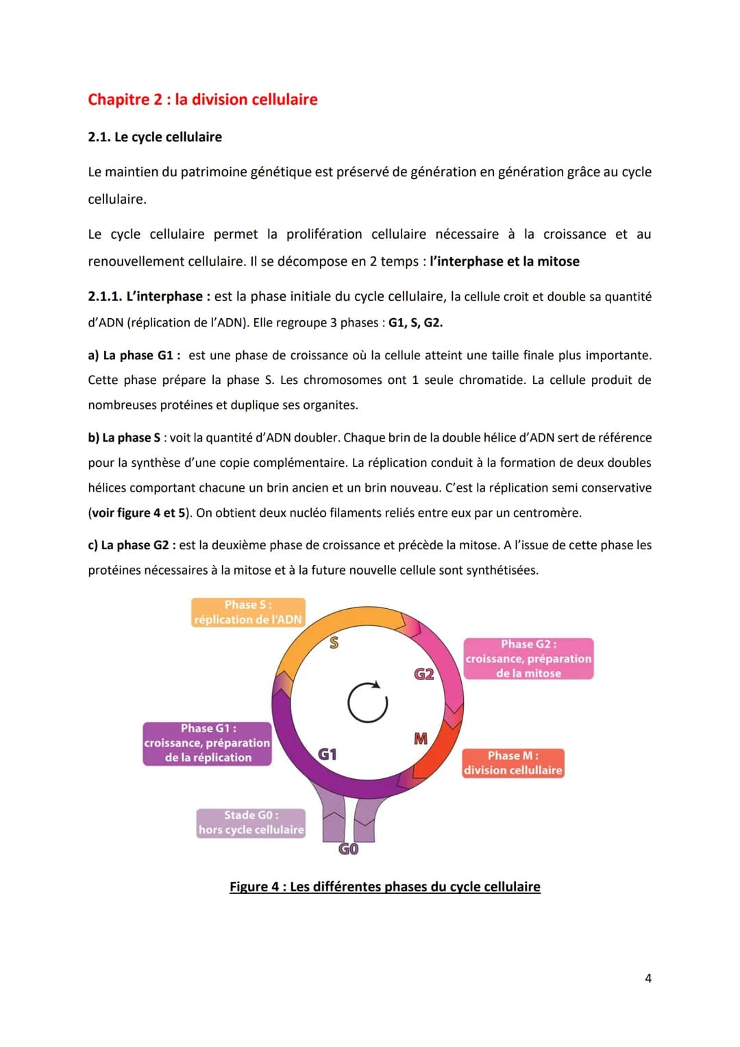 PARTIE 4: L'information génétique et son expression
Chapitre 1: Structure et ultrastructure du chromosome:
1.1. Structure de l'ADN
1.2. De