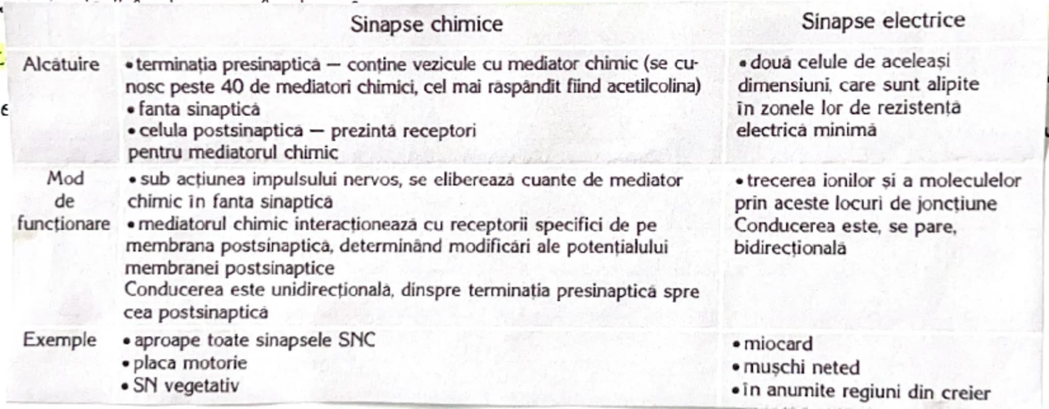 # Sinapsa
= este conexiunea funcțională între un neuron si o altă celula
* În SNC a dova celulă este tot un neuron
* în SNP ea poate f