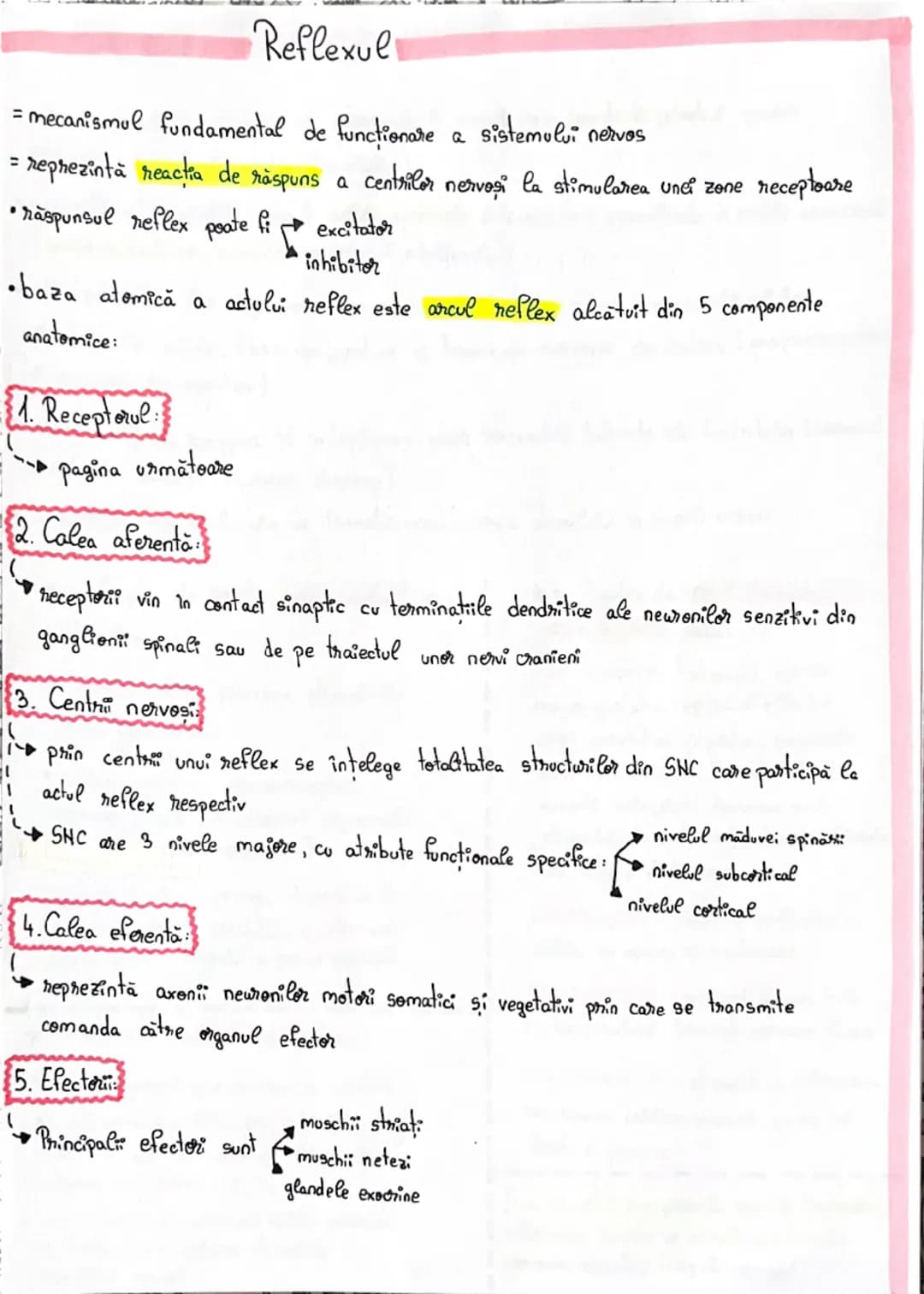 # Sinapsa
= este conexiunea funcțională între un neuron si o altă celula
* În SNC a dova celulă este tot un neuron
* în SNP ea poate f