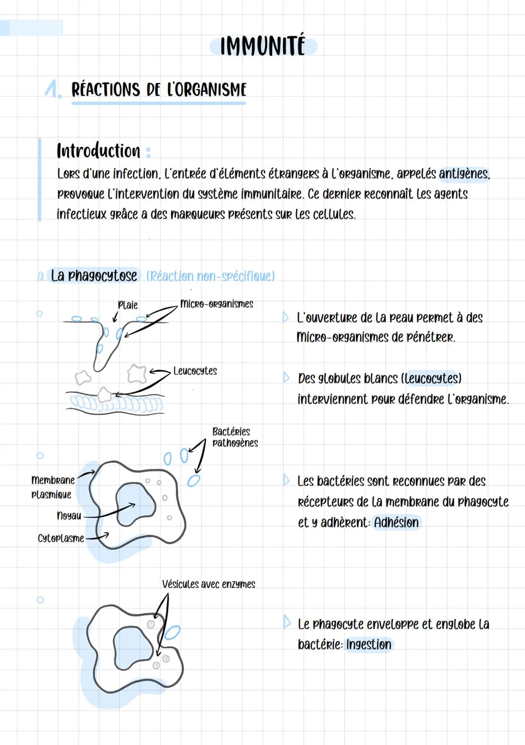 # IMMUNITÉ
# A RÉACTIONS DE L'ORGANISME
Introduction :
Lors d'une infection, l'entrée d'éléments étrangers à l'organisme, appelés antigèn