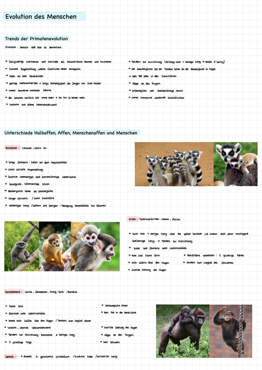 # Evolutionsfaktoren
* Mulationen
Vergrößer des Genpools Erhöhung der genetischen Vielfalt innerhalb éner Population
* Rekombinati