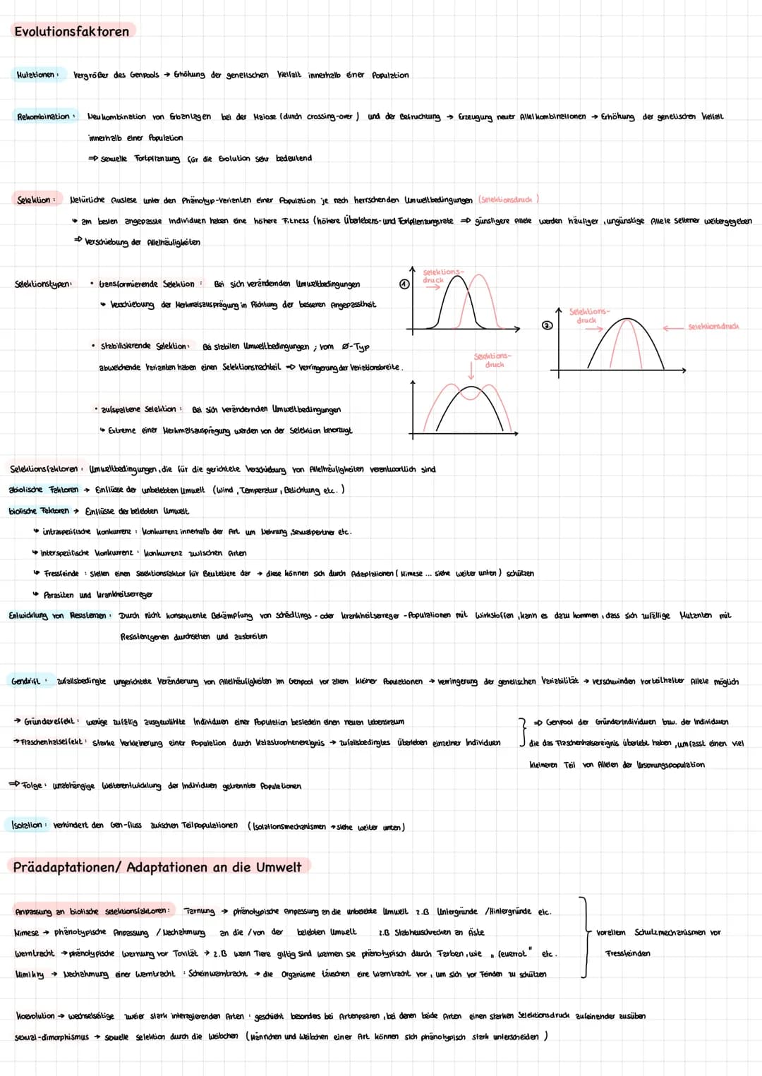 # Evolutionsfaktoren
* Mulationen
Vergrößer des Genpools Erhöhung der genetischen Vielfalt innerhalb éner Population
* Rekombinati