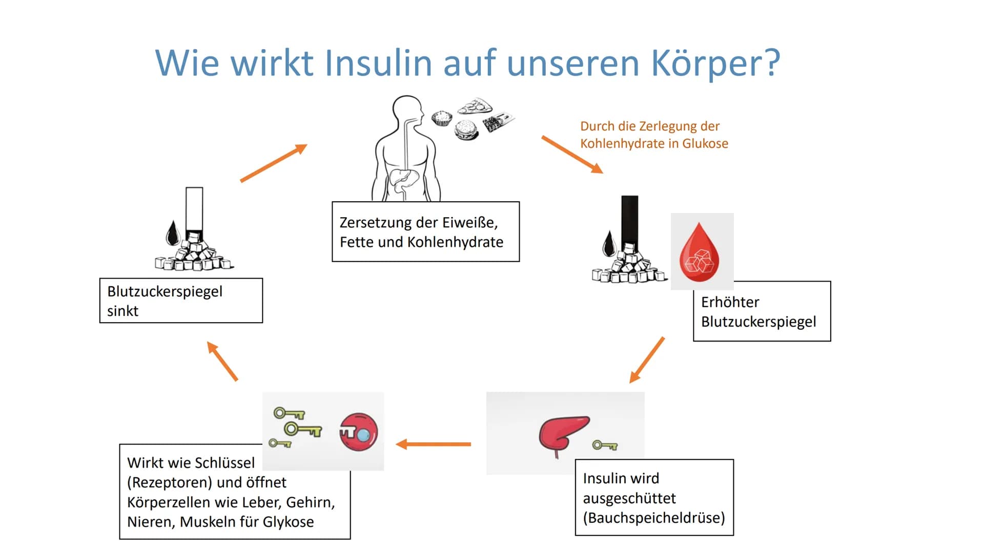 # "Altersdiabetes"
im Jugendalter
Inwiefern ist die
Erkrankung heilbar? # Gliederung
Was ist Diabetes Typ 2?
Maßnahmen und Therapien
*