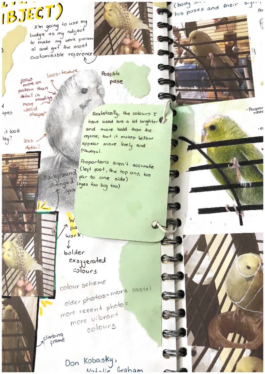 # INSPIRATION
(SUBJECT)
Wilbur is a
loud.curious
young budgie.
He's Conpdent
loved exploring
and my artwork
needs to depict his.
Avely pers
