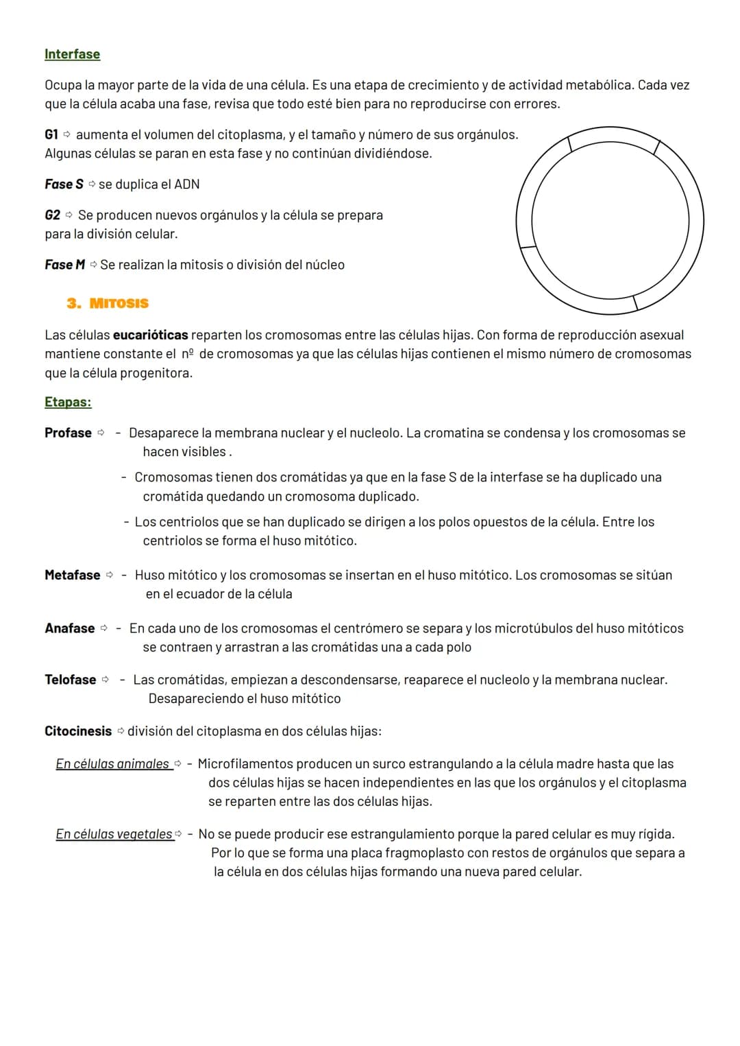 # DIVISIÓN CELULAR
1. INFORMACIÓN GENÉTICA
EI ADN (ácido desoxirribonucleico):
- Molécula que contiene la información genética para fabri