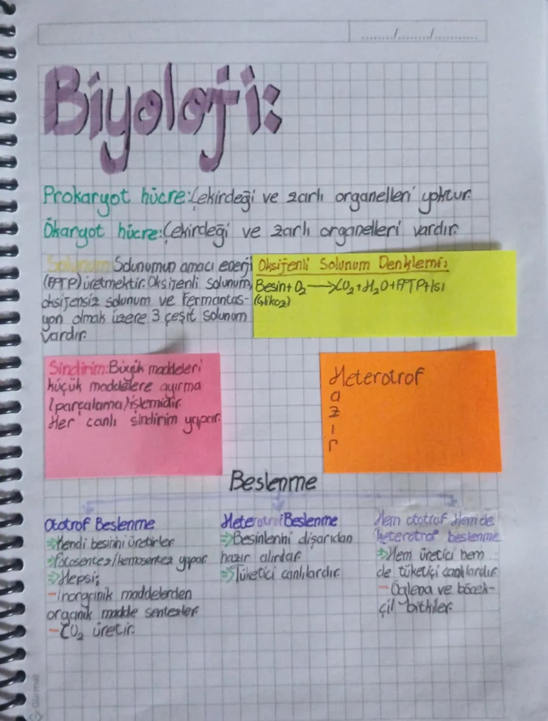 Gürmat
# Biyoloji:
Prokaryot hücre Lekirdeği ve zarlı organelleri yoktur.
Ökaryot hücre Çekirdeği ve zarlı organelleri vardır
Sdunumun a