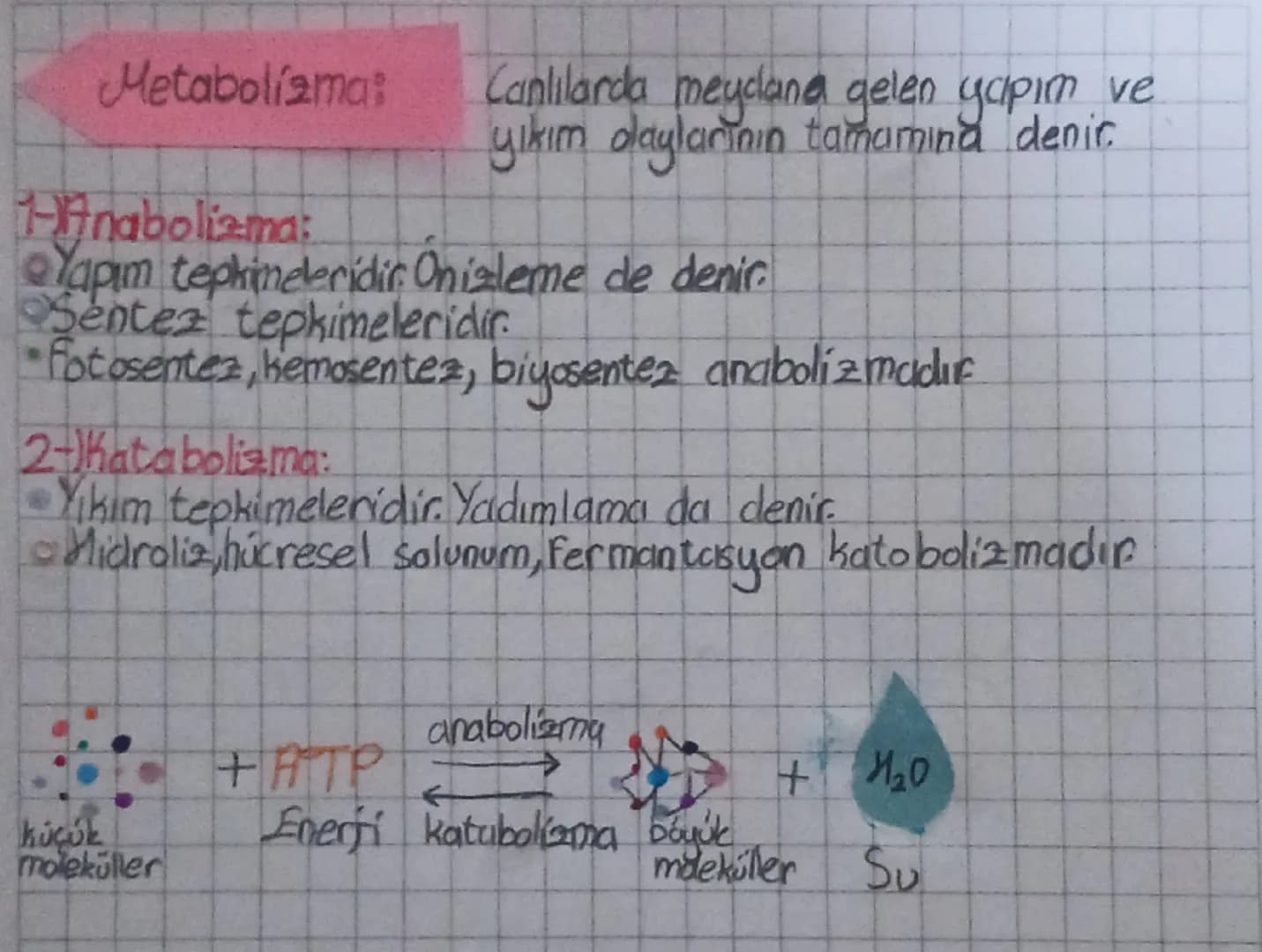 Gürmat
# Biyoloji:
Prokaryot hücre Lekirdeği ve zarlı organelleri yoktur.
Ökaryot hücre Çekirdeği ve zarlı organelleri vardır
Sdunumun a