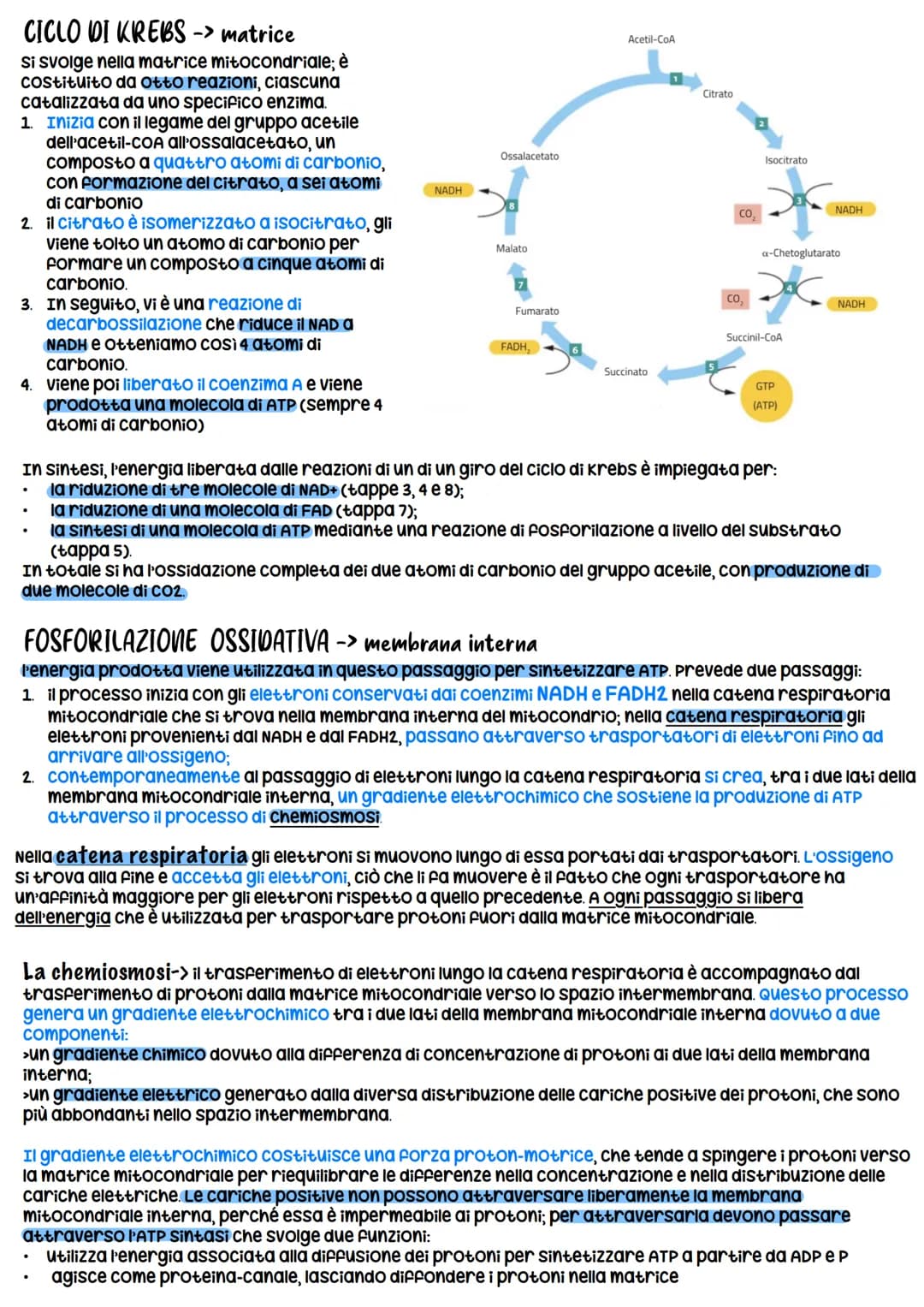 # METABOLISMO CELLULARE
è un attività altamente coordinata a cui partecipano milioni di reazioni che svolgono tre funzioni
principali:
1. R