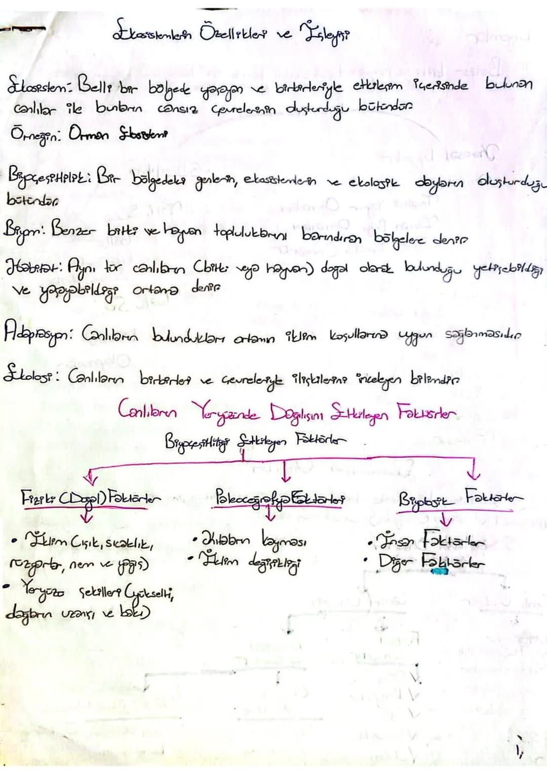 # Ekosistenten Özellikleri ve Isleyni
Sloopstem: Belli bir bölgede yaşayan ve birtarteriyle etkilerem içerisinde bulunan
canlılar ile buntb