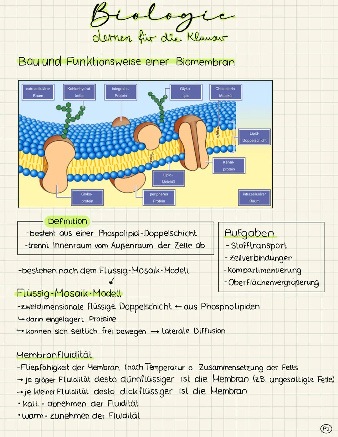 # Biologic
Lernen für die Klausur
Bau und Funktionsweise einer Biomembran
extrazellulärer
Raum
Kohlenhydrat-
kette
integrales
Protein
G