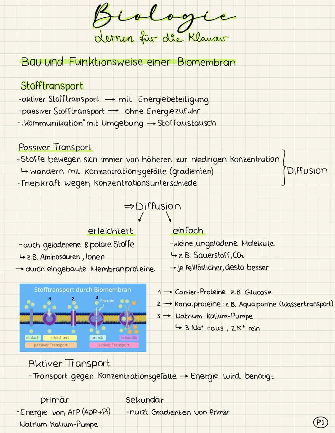 # Biologic
Lernen für die Klausur
Bau und Funktionsweise einer Biomembran
extrazellulärer
Raum
Kohlenhydrat-
kette
integrales
Protein
G