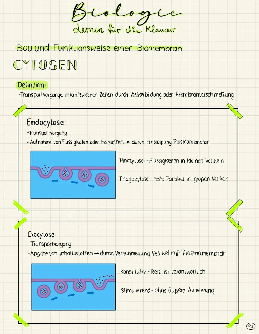 # Biologic
Lernen für die Klausur
Bau und Funktionsweise einer Biomembran
extrazellulärer
Raum
Kohlenhydrat-
kette
integrales
Protein
G