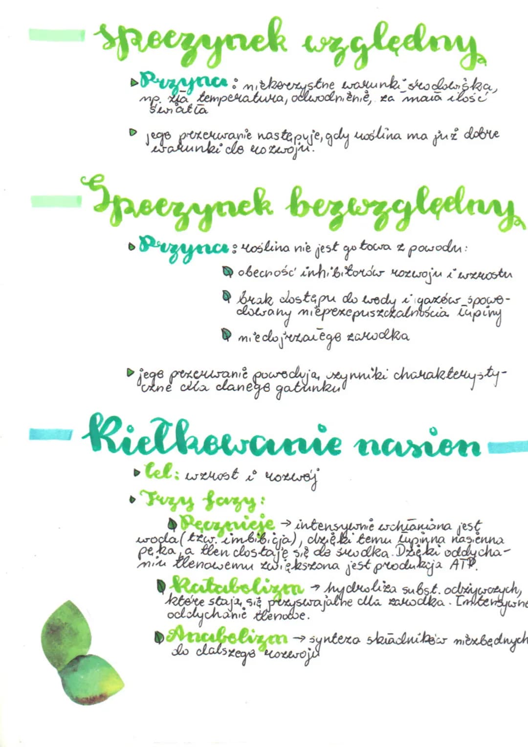 # hielkowanie
nasion
Rezwéje a wzrost s
5/2
Qwenost to pesces polegający na zwiększaniu się
rozmiarów wśliny, zas wswój polega na wzni-
c