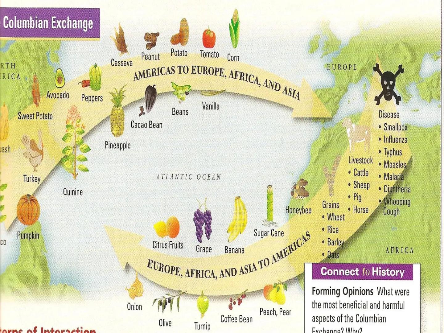 # The Columbian Exchange Western
Hemisphere
(New World)
Eastern Hemisphere
(Old World) # The Columbian Exchange
• Columbus' voyages may hav