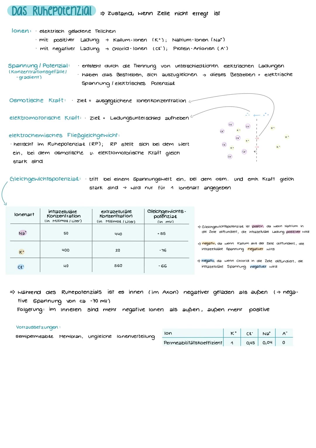 # NEUROBIOLOGIE
## Aufbau und Funktion einer Nervenzelle
Markscheide
Ranvier
Schnürring
Mikrotulbuli
Motor proteine:
Zelikem
Schwann