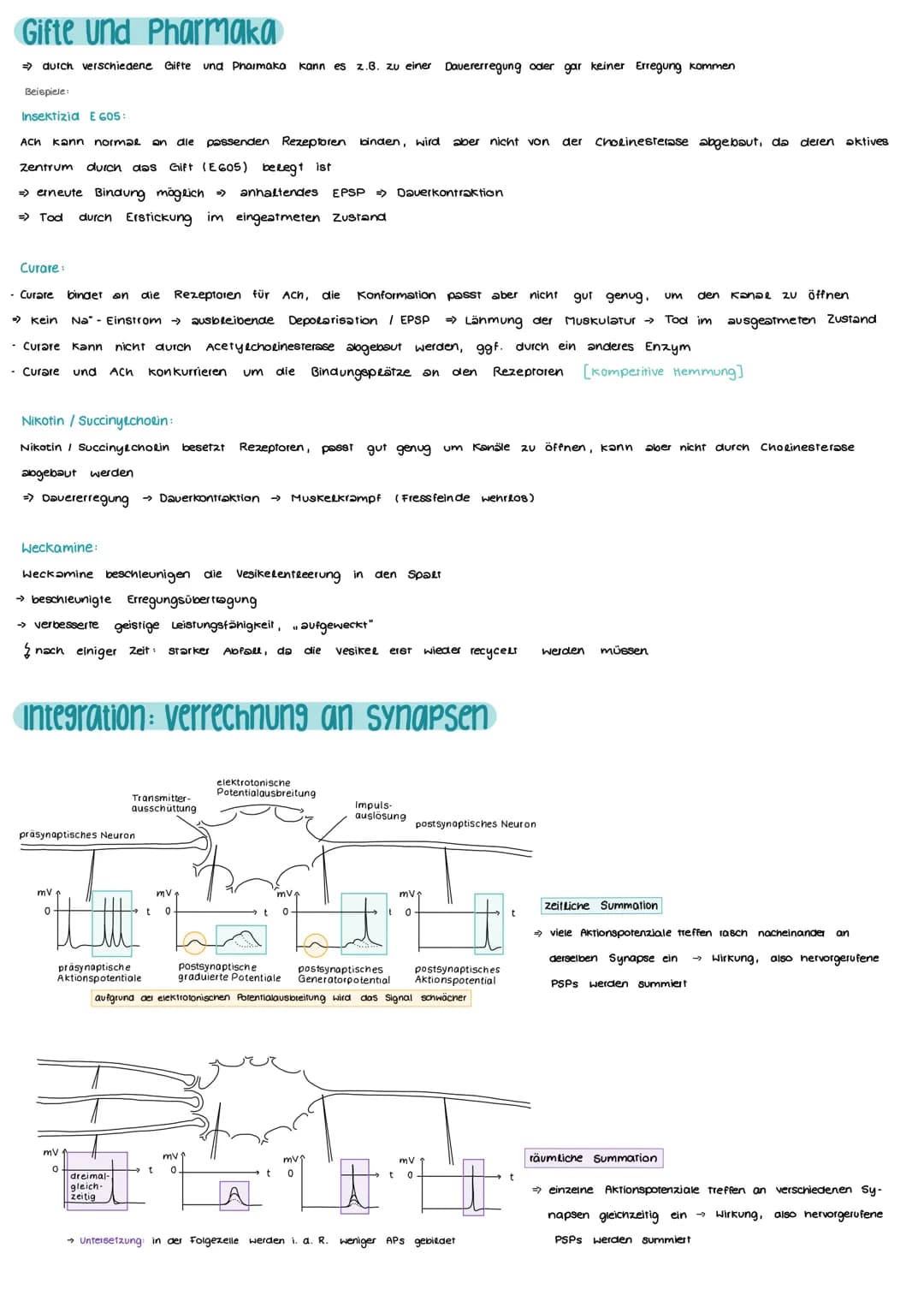 # NEUROBIOLOGIE
## Aufbau und Funktion einer Nervenzelle
Markscheide
Ranvier
Schnürring
Mikrotulbuli
Motor proteine:
Zelikem
Schwann
