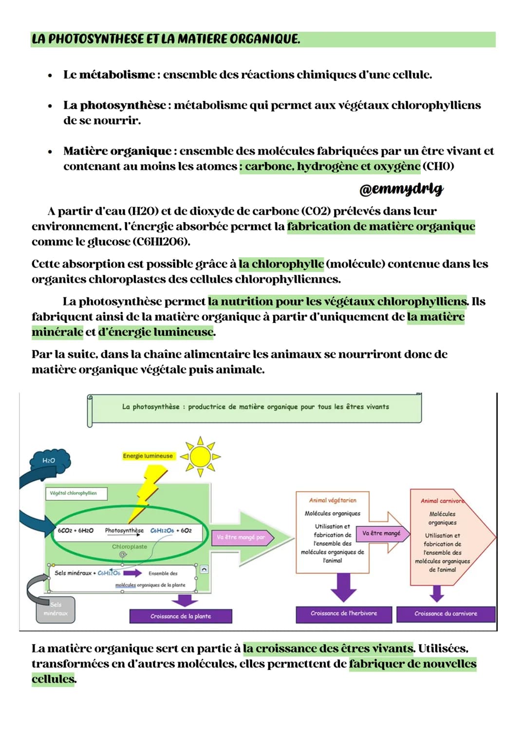 # Enseignement Scientifique
Le Soleil, notre source de lumière
Une conversion biologique de V'énergie solaire: la photosynthèse
**D'OU VI