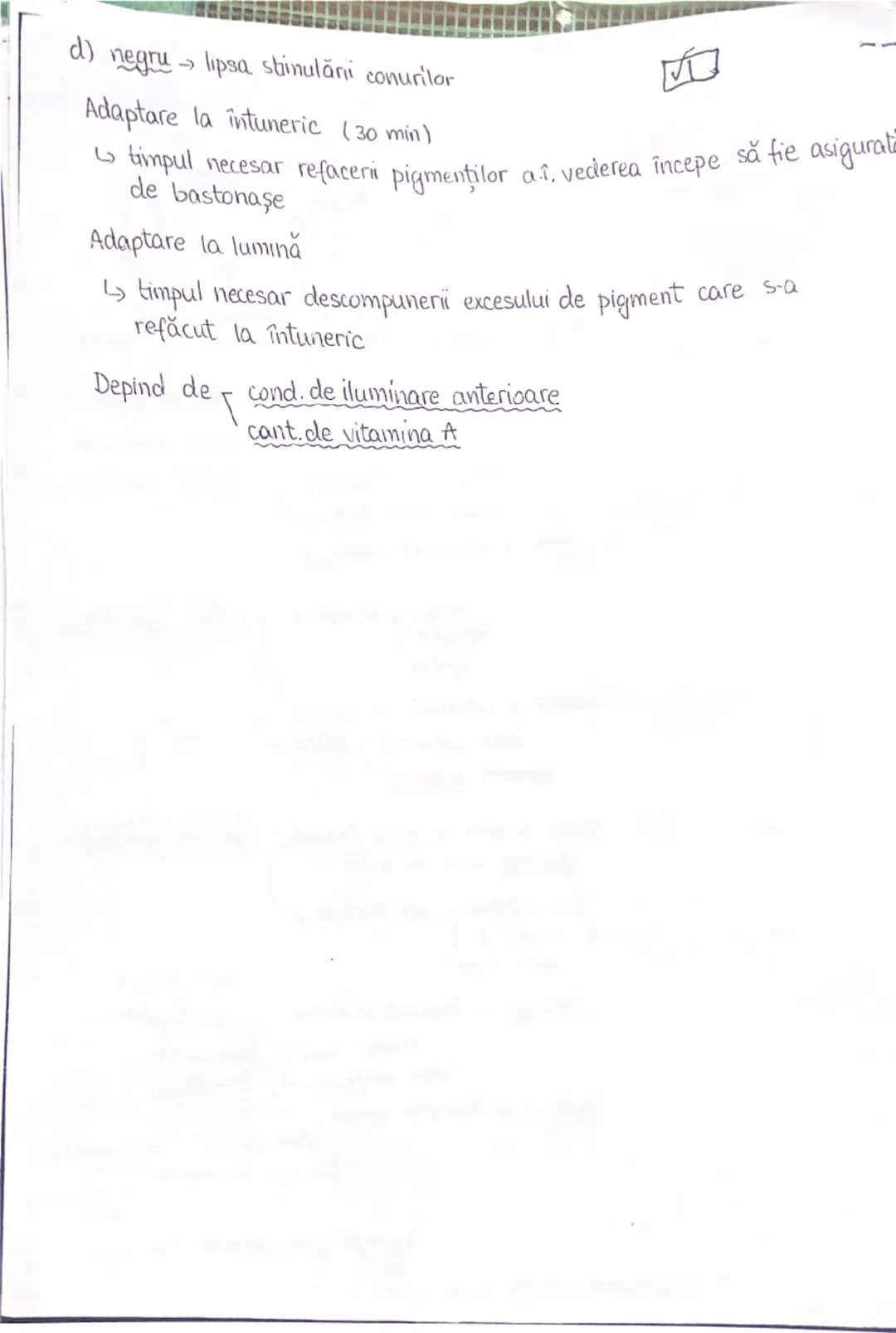 PLANURI SI RAPORTURI ANATOMICE
NTOPOGRAFIA ORGANELOR M
Axele corpului omenesc
superior (cranial)
- ax longitudinal (al lungimi)
- ax tran