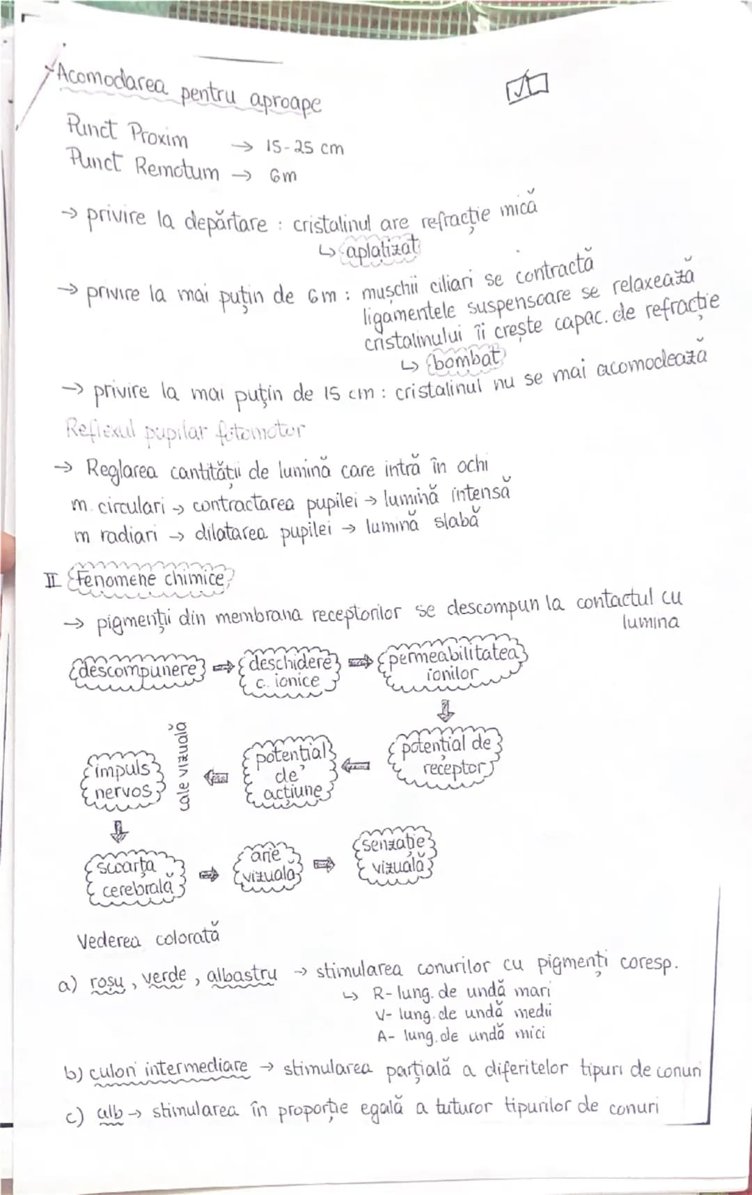 PLANURI SI RAPORTURI ANATOMICE
NTOPOGRAFIA ORGANELOR M
Axele corpului omenesc
superior (cranial)
- ax longitudinal (al lungimi)
- ax tran