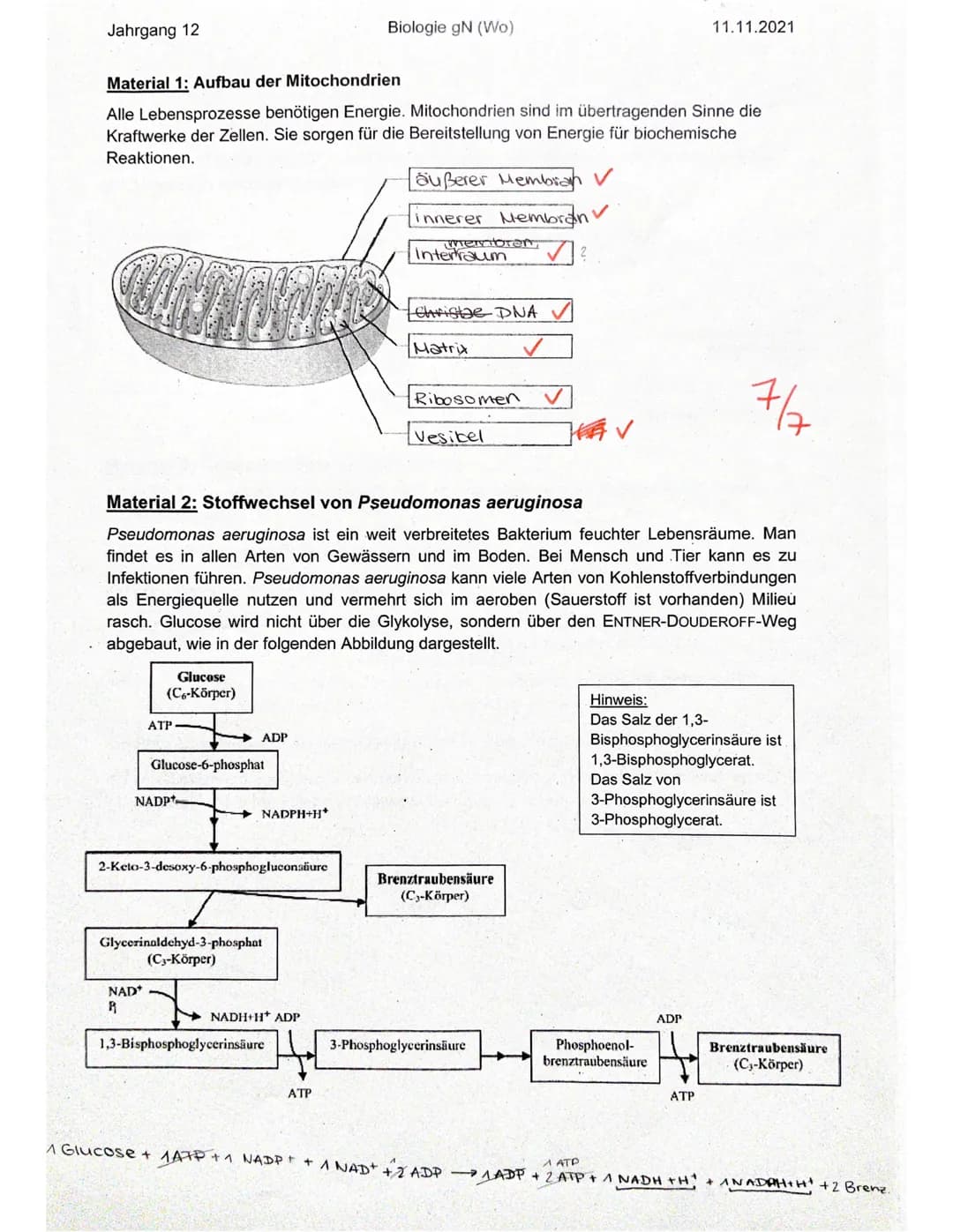 Jahrgang 12 Biologie gN (Wo) 11.11.2021
Klausur Nr. 1- Zellatmung
Name: Elisabeth
Ergebnis:
Aufgabennummer 1 2 3 4 Summe Prozent
Erreic