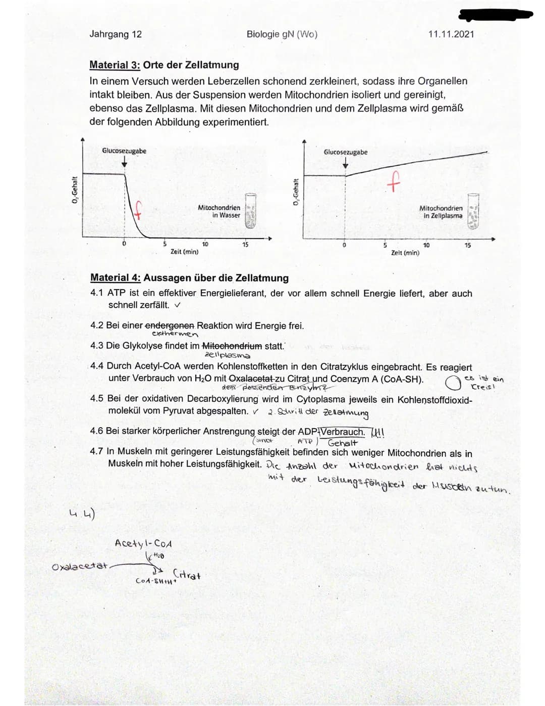 Jahrgang 12 Biologie gN (Wo) 11.11.2021
Klausur Nr. 1- Zellatmung
Name: Elisabeth
Ergebnis:
Aufgabennummer 1 2 3 4 Summe Prozent
Erreic