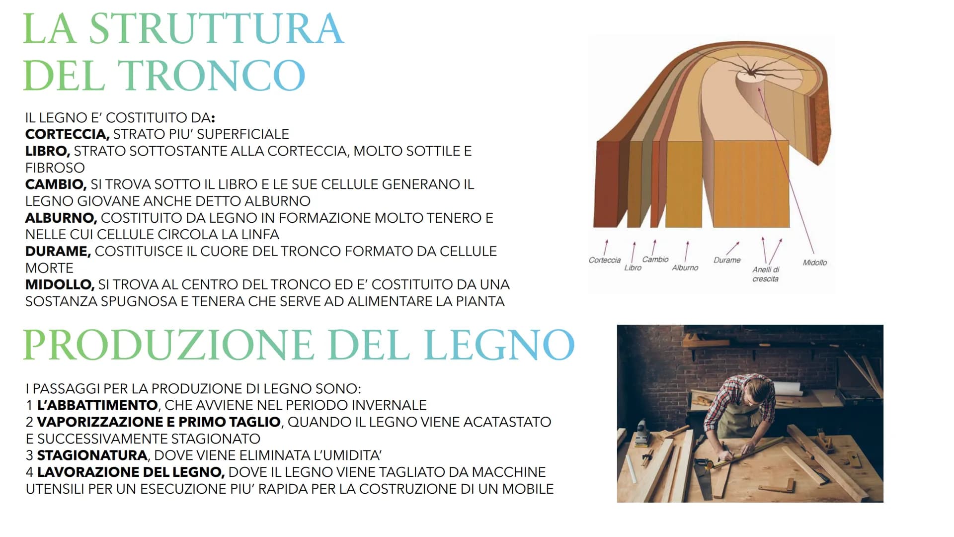 # IL LEGNO # IL LEGNO
IL LEGNO PUO' ESSERE CHIAMATO IN TRE MODI
1 LEGNO
2 LEGNO DA ARDERE
3 LEGNAME
IL LEGNO E' LA PARTE SOLIDA DEL TRO