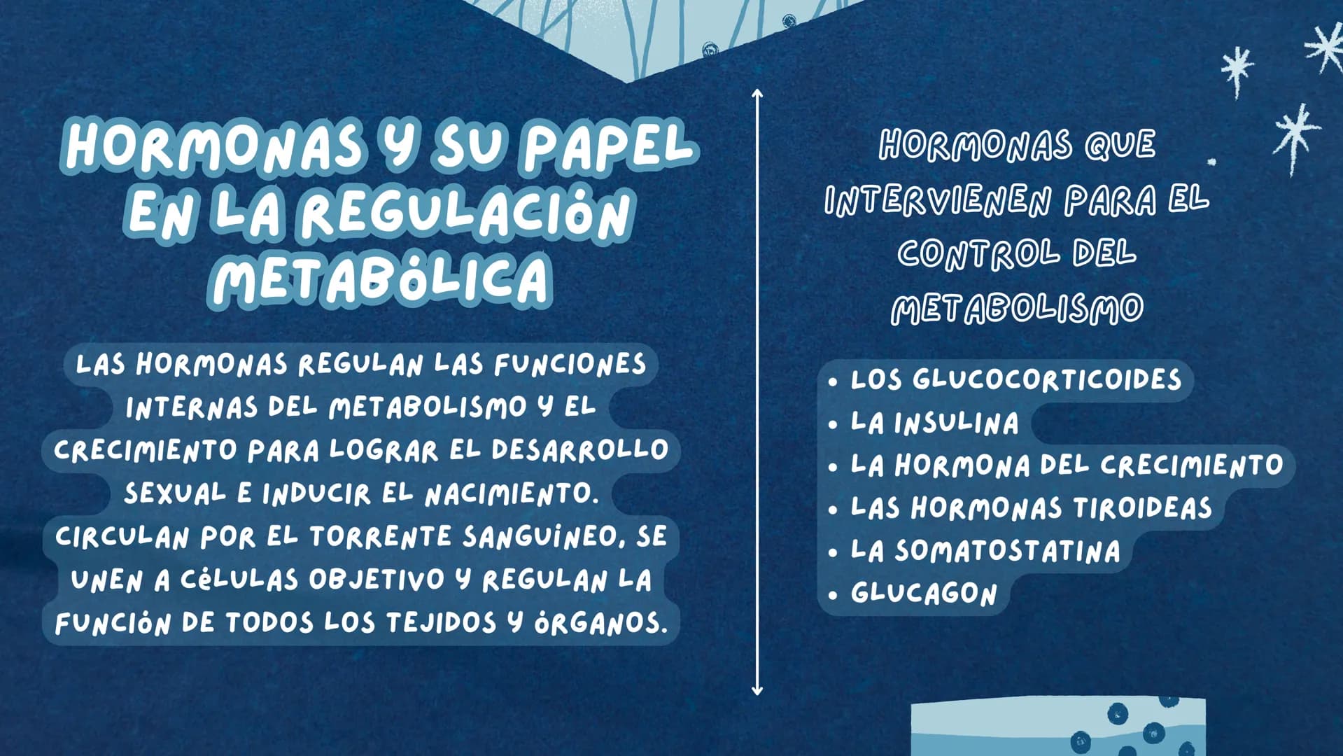 REGULACIÓN DEL
Metabolismo # ENZIMAS REGULADORAS
LAS ENZIMAS DETERMINAN QUE REACCIONES QUIMICAS PUEDE
LLEVAR A CABO UNA CÉLULA Y A QUE VELO