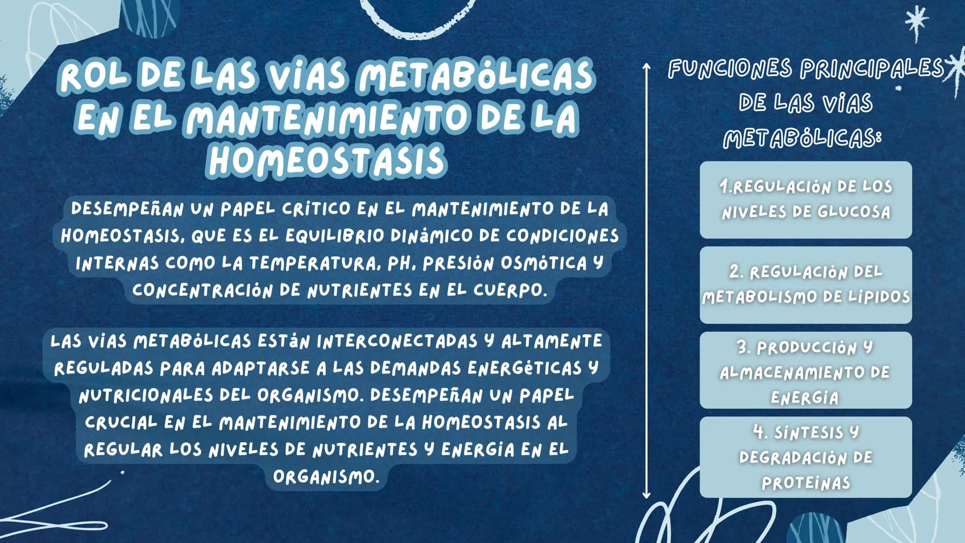 REGULACIÓN DEL
Metabolismo # ENZIMAS REGULADORAS
LAS ENZIMAS DETERMINAN QUE REACCIONES QUIMICAS PUEDE
LLEVAR A CABO UNA CÉLULA Y A QUE VELO