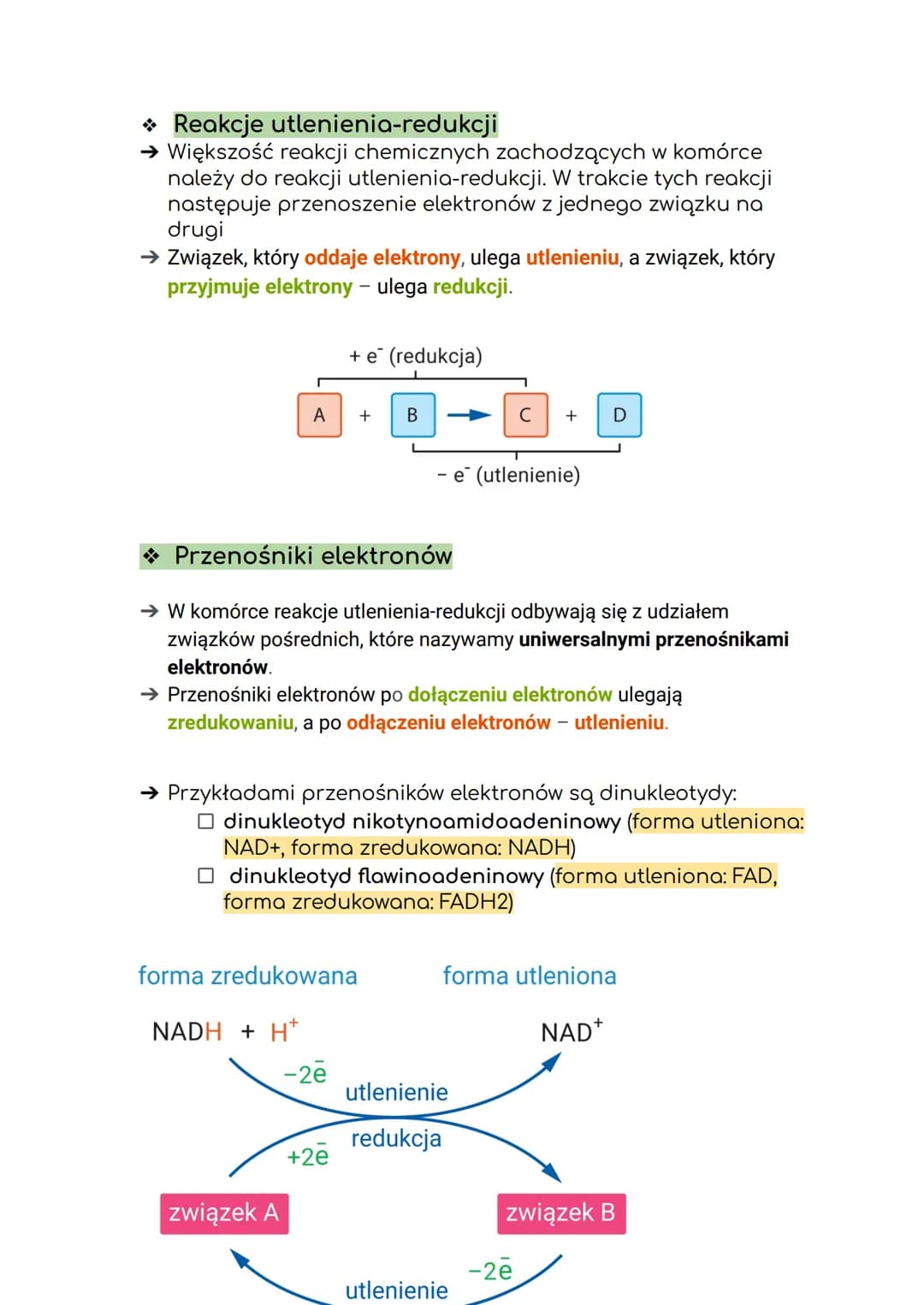 Atlas de
Anatomía
Humana
3'edición
Frank H. Netter. м.о.
#MASSON
METABOLIZM
I. KIERUNKI PRZEMIAN METABOLICZNYCH
* Metabolizm to ogół prz